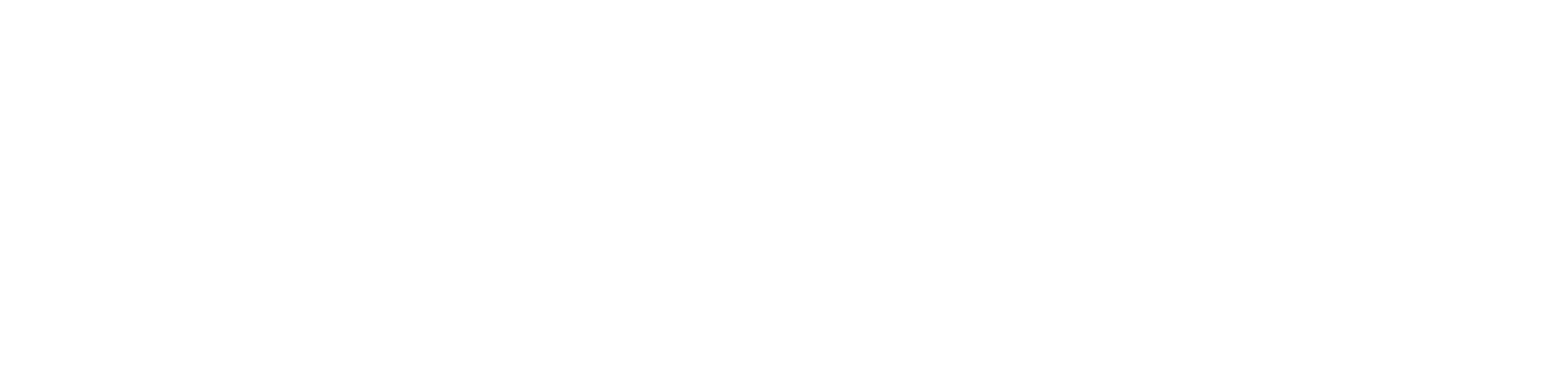 Support System Srl